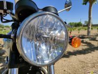 Triumph_T100_2021_Super7moto_22