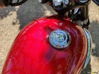 Triumph_T100_2021_Super7moto_25