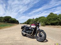 Triumph_T100_2021_Super7moto_3