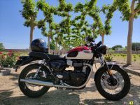 Triumph_T100_2021_Super7moto_4
