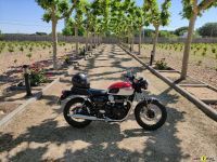 Triumph_T100_2021_Super7moto_5
