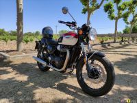 Triumph_T100_2021_Super7moto_8