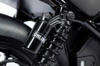 337594_CMX_SPORT
