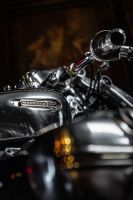 P90460840_highRes_bmw-motorrad-present