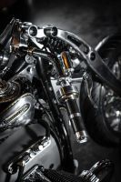 P90460864_highRes_bmw-motorrad-present