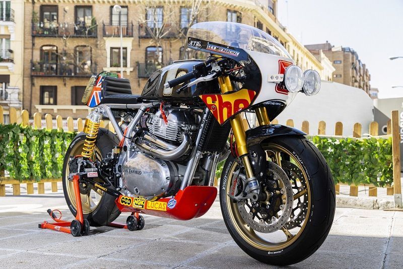 xtrpepo blackfury 11
