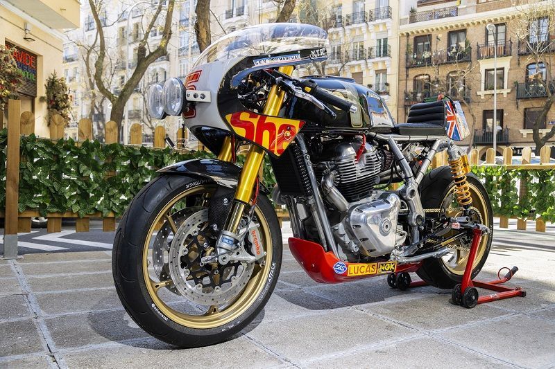 xtrpepo blackfury 8
