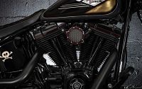 2009-harley-davidson-cross-bones-is-the-ultimate-visual-pirate-nod-to-bike-from-long-ago_4