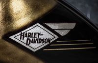 2009-harley-davidson-cross-bones-is-the-ultimate-visual-pirate-nod-to-bike-from-long-ago_7
