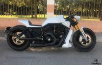 Vrod-Lion-White-Fiberbull-3-1