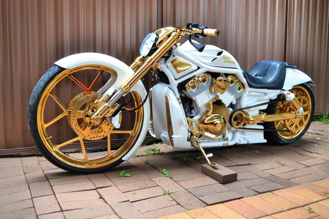 Harley Oro 1