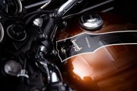 Triumph_1959_SpecialEdition_Gibson_T120_12