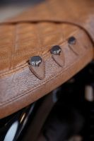 Triumph_1959_SpecialEdition_Gibson_T120_14