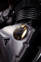 Triumph_1959_SpecialEdition_Gibson_T120_16