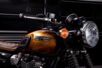 Triumph_1959_SpecialEdition_Gibson_T120_18