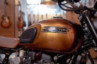 Triumph_1959_SpecialEdition_Gibson_T120_19