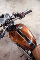 Triumph_1959_SpecialEdition_Gibson_T120_20