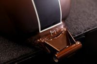 Triumph_1959_SpecialEdition_Gibson_T120_36