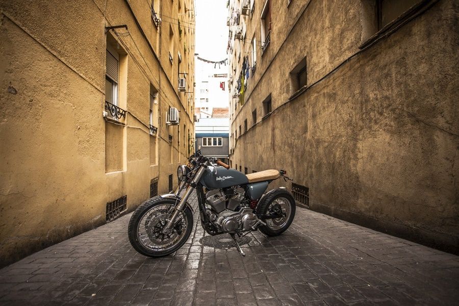 Sportster XTR Pepo 1