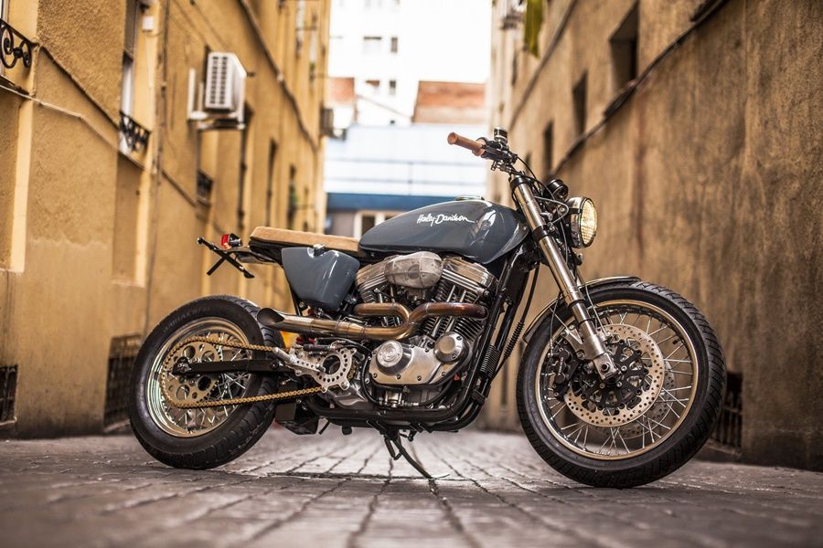 Sportster XTR Pepo 4