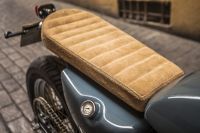 Sportster_XTR_Pepo_8
