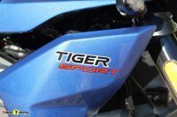TigerSport660_12