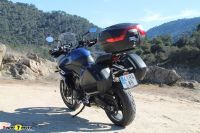TigerSport660_29