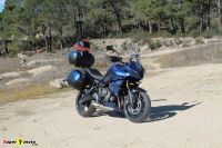 TigerSport660_40