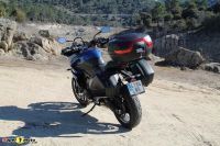 TigerSport660_41