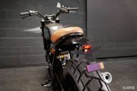 Ellaspede-HondaNX650-04e