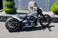315_nlc_softail_white-gold_web-06