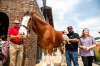Sturgis_2023_9