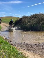 Royal_Enfield_Scram_411_16