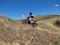 Royal_Enfield_Scram_411_30