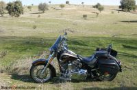 HD_CVO_Conv04