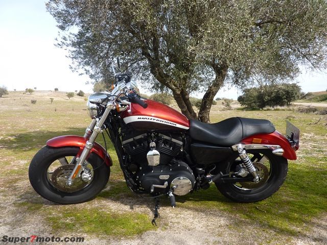 HD Sportster01
