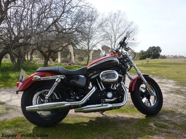 HD Sportster04