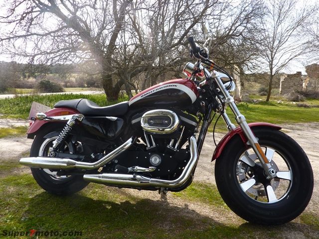 HD Sportster05