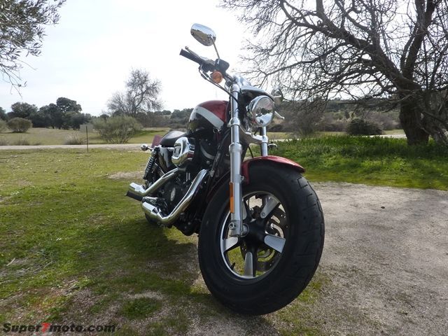 HD Sportster20