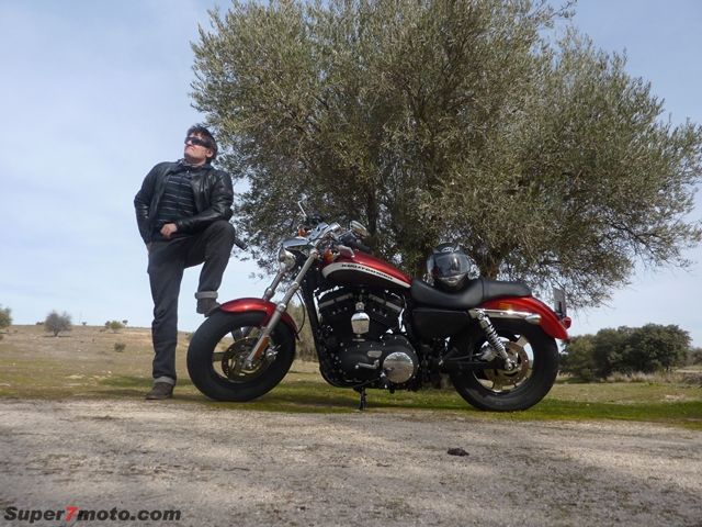 HD Sportster22