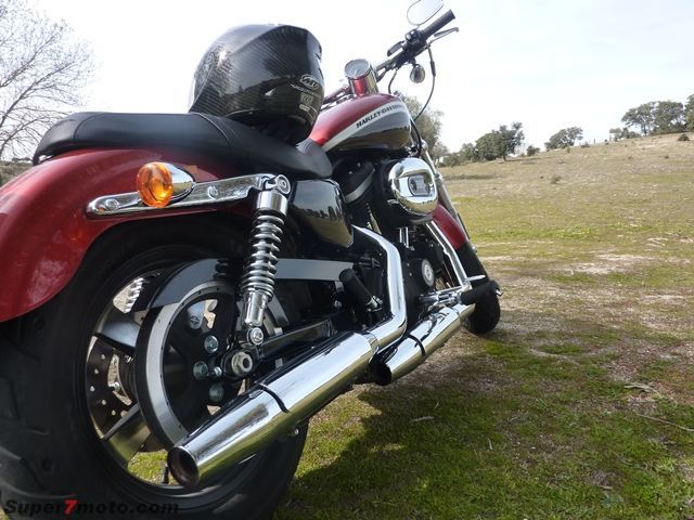 HD Sportster24