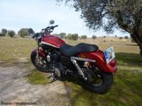 HD_Sportster03