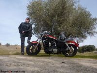 HD_Sportster22
