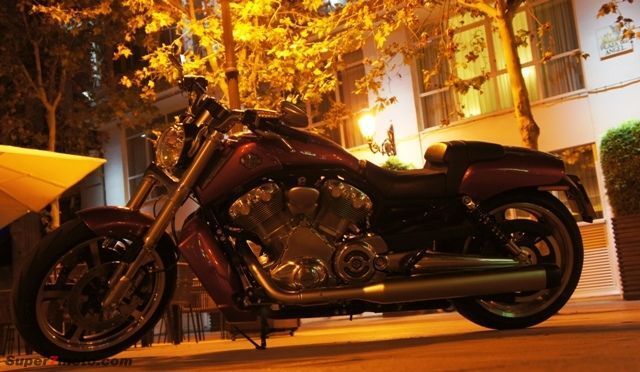 Harley VROD 13