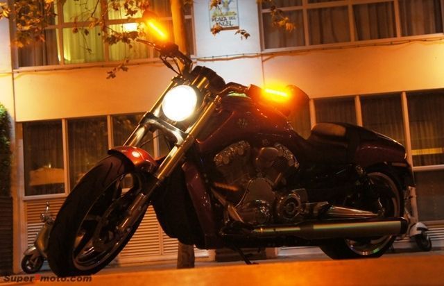 Harley VROD 16