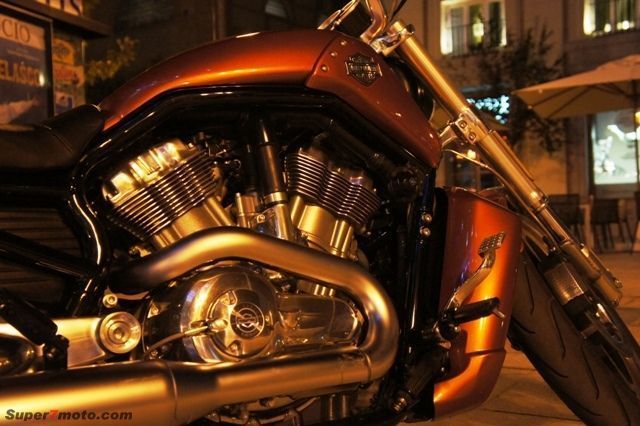 Harley VROD 19