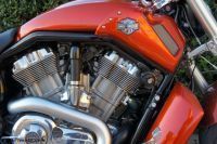 Harley_VROD_3