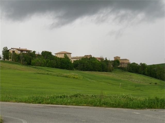 IMGP3150