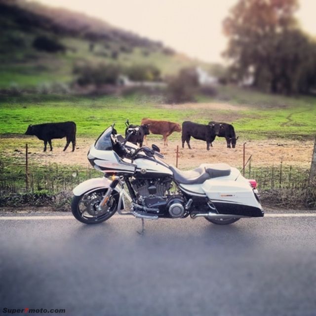 RoadGlideVacas