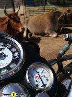 ViajeIndiaSuper7moto-2